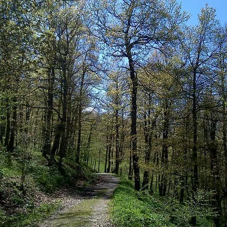 Rural Pena Castil Sotres